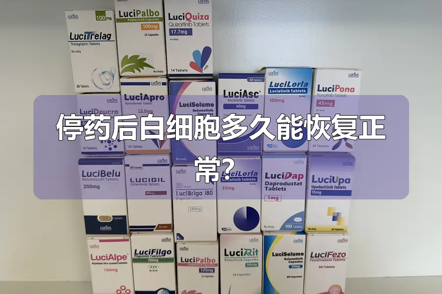 停药后白细胞多久能恢复正常?